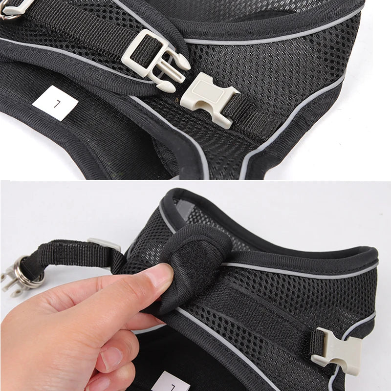 Adventure-Ready Pet Harness