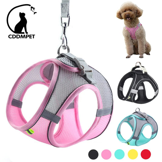 Adventure-Ready Pet Harness